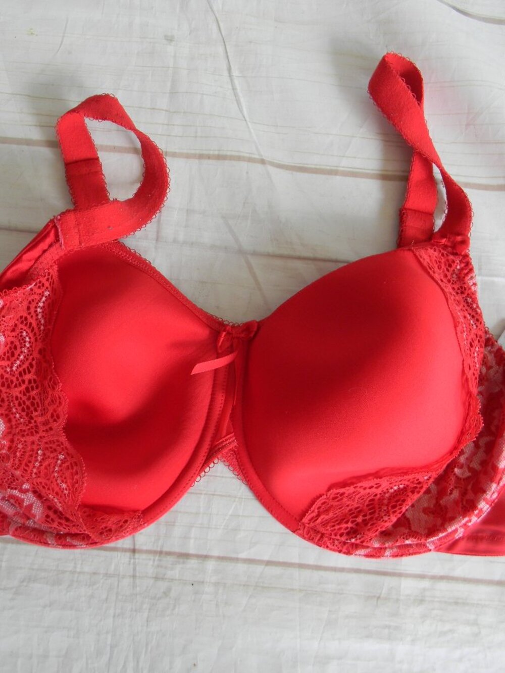 ELOMI Amelia Bandless Spacer Molded Underwire Bra EL8740 RED 40I